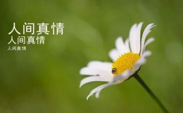 让真情自然流露作文8篇